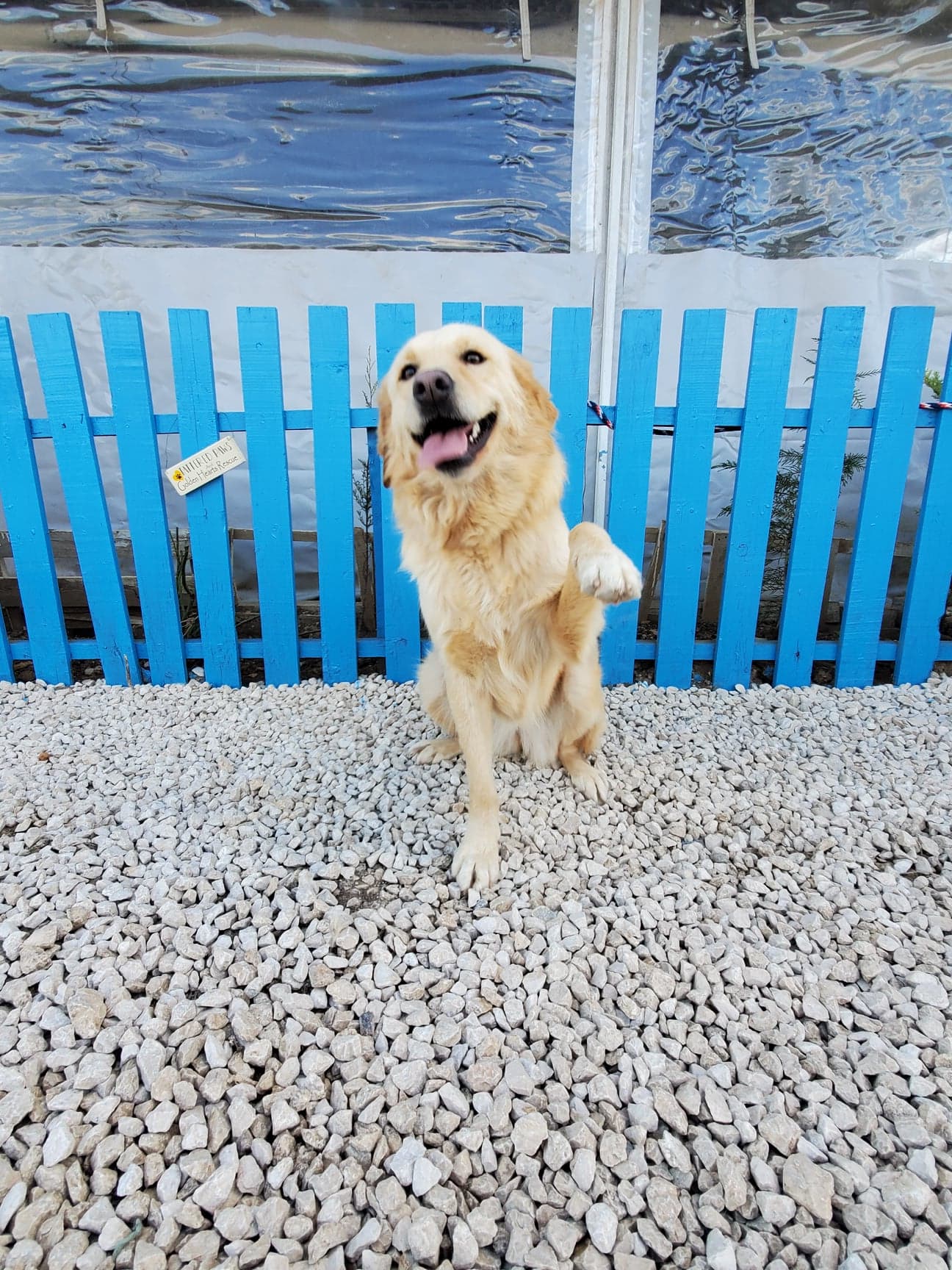 Ruthie (fka Parsley) 